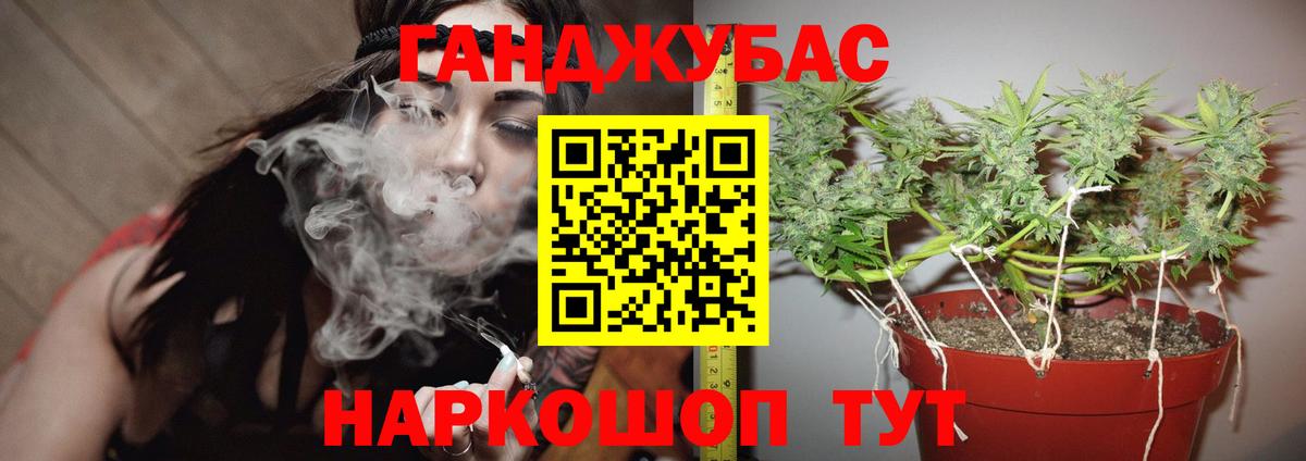 Бошки Шишки гибрид  Канабис Amnesia  Вход с VPN  Марихуана White Widow  Артём  Бошки Шишки конопля 